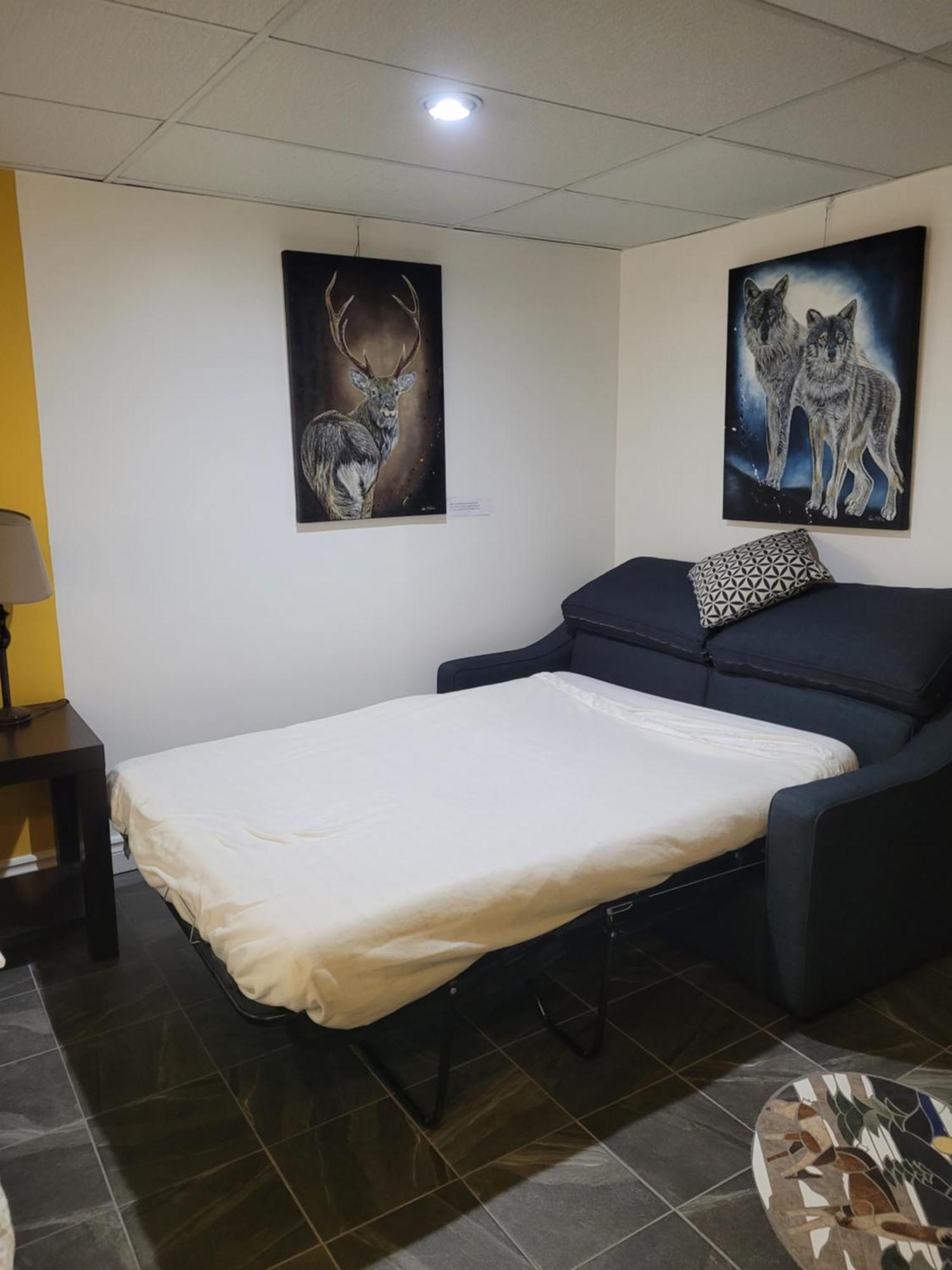 Appartement Bellevue Saint-Félicien Extérieur photo